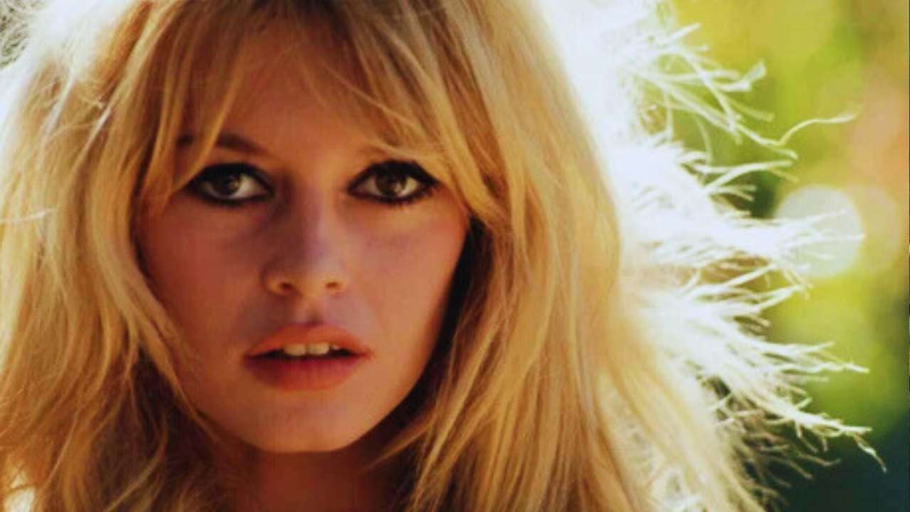 The-Council-of-Mosques